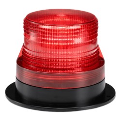 22025004