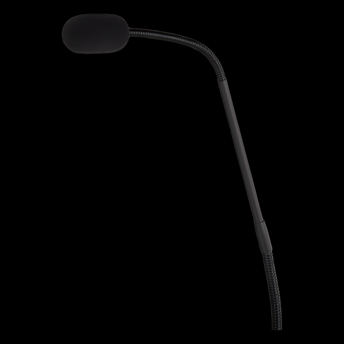 PGM1