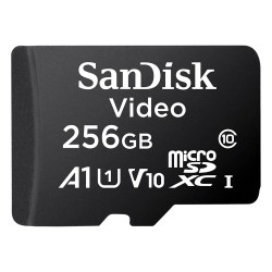 SDSDQAS5-256G-BP