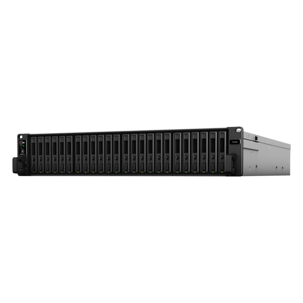 FS3600
