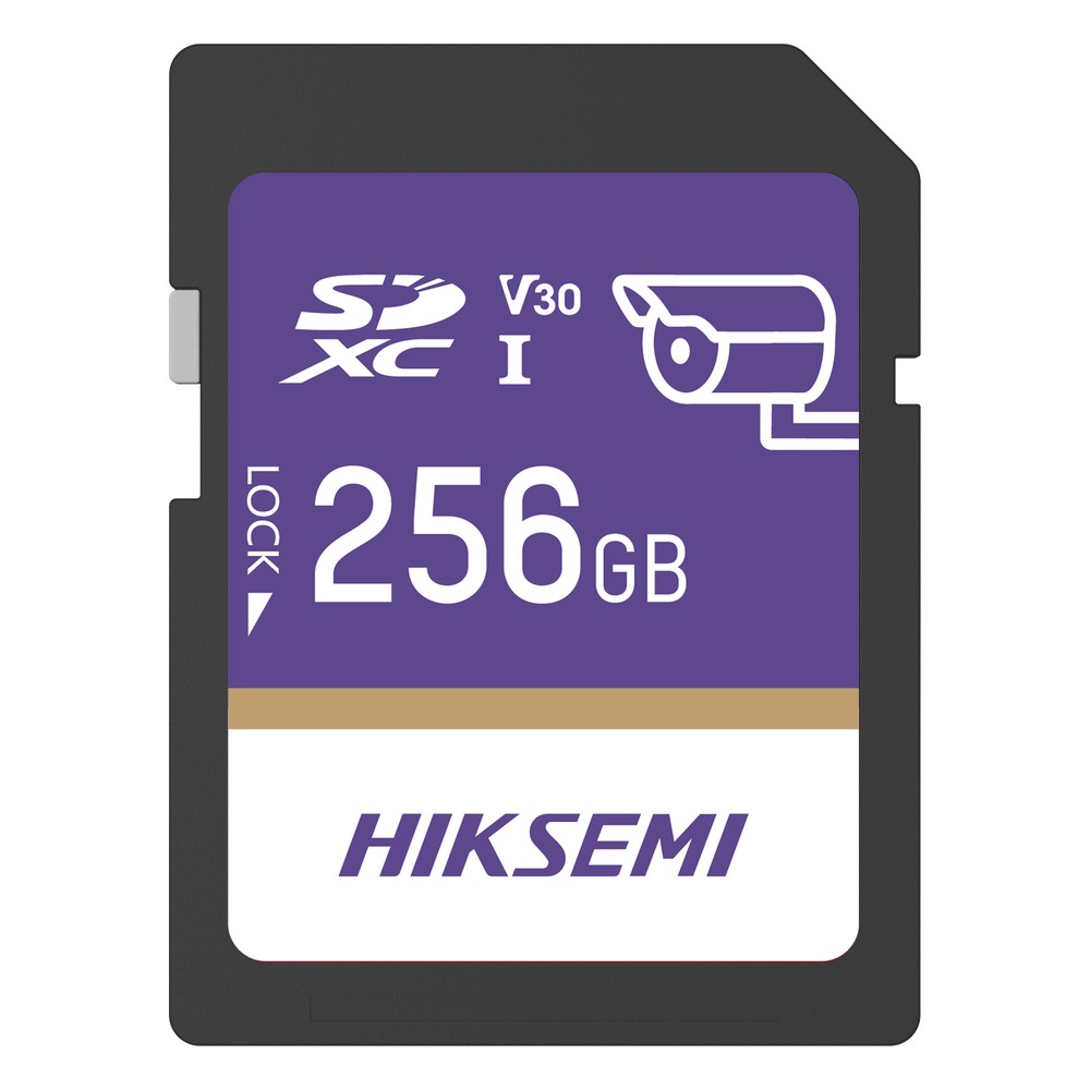 HS-SD-P10/256G/GUARDPRO