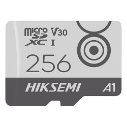 HS-TF-M1/256G