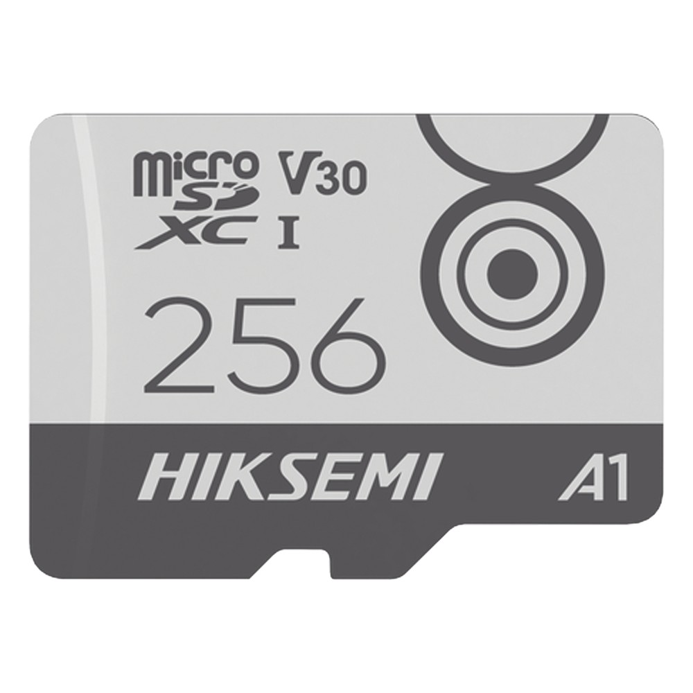 HS-TF-M1/256G