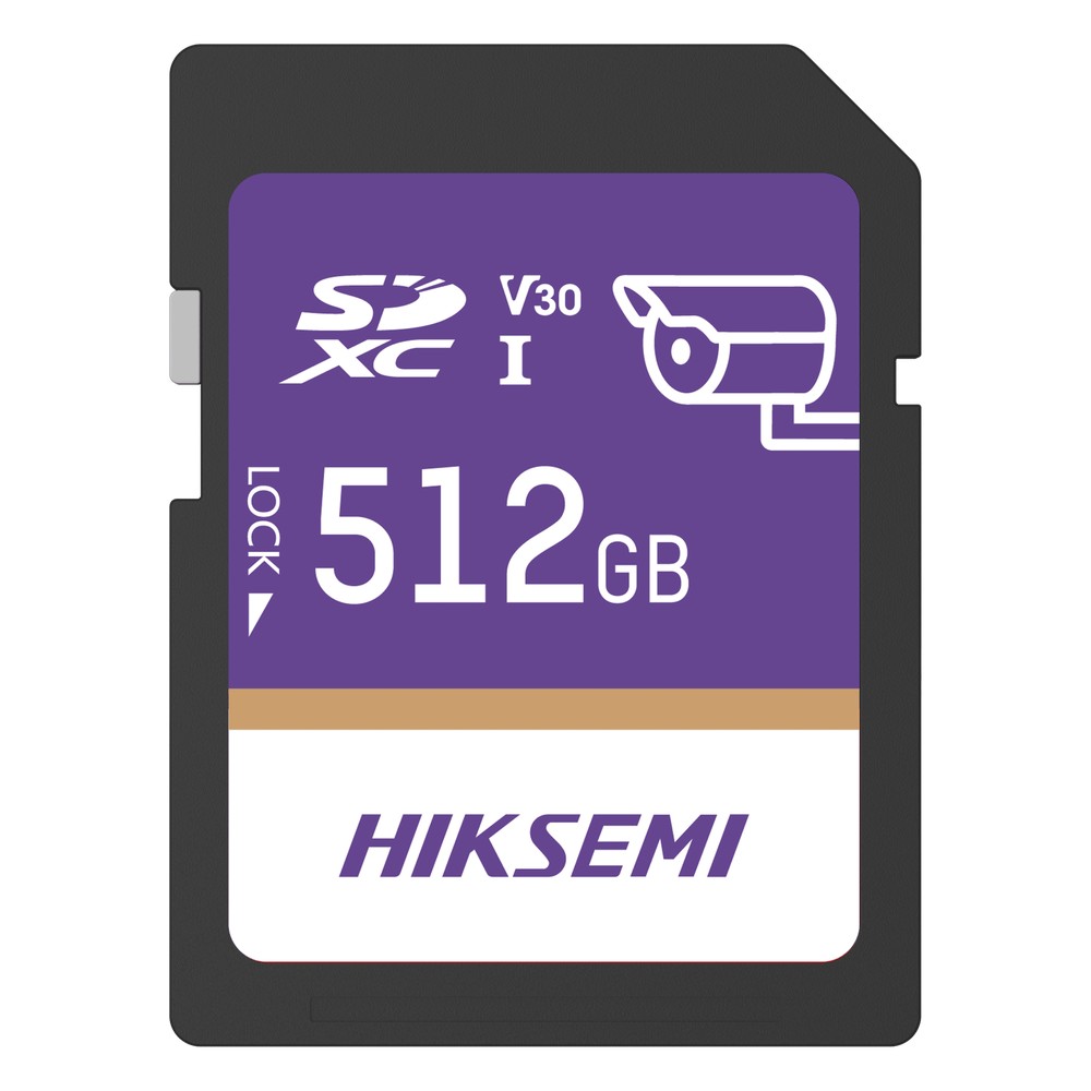 HS-SD-P10/512G/GUARDPRO
