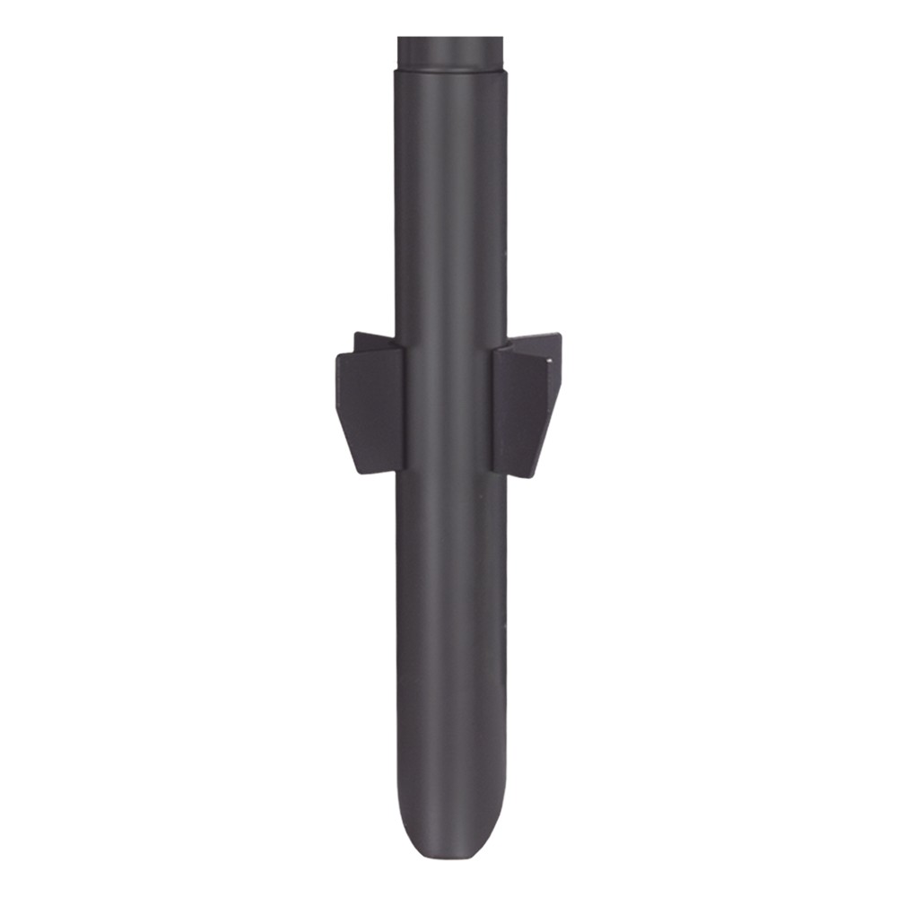 AS-STAKE-6