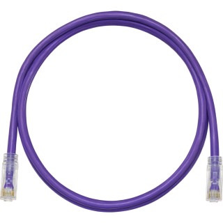 Cable de Parcheo TX6, UTP Cat6, 24 AWG, CM, Color Violeta, 0.61 Metros (2 Pies)