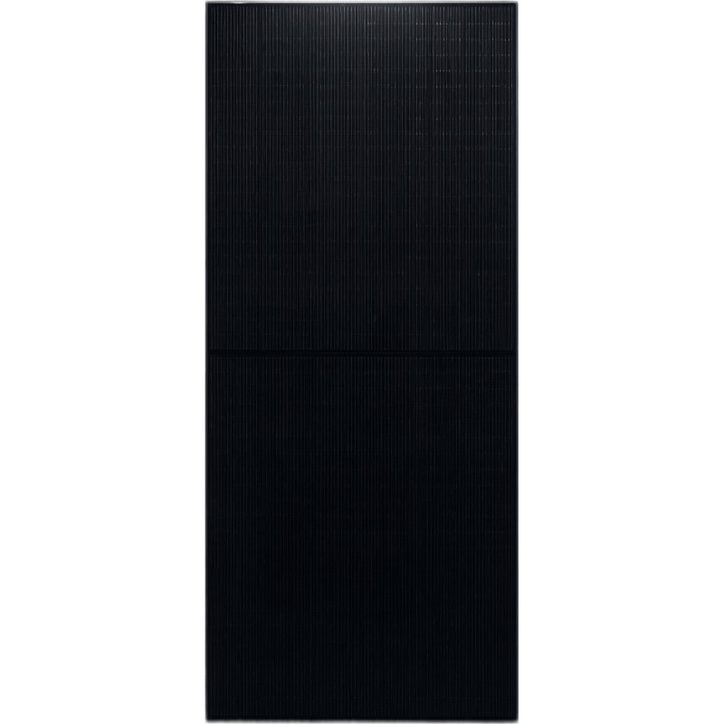 Módulo Solar Bifacial Doble Vidrio L-TOPCon / 650 W / 42.60 Vmp / 50.28 Vcc / Monocristalino 132 Celdas 182×210 mm / Bif