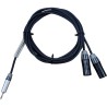 Cable de Audio