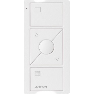 Control Pico inalámbrico de 3 botones con subir | LECOSYS