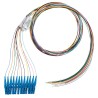 Kit de 12 Pigtails con Conector LC, Monomodo 9/125 OS2, 900um, de 1 Metro (3.28 Pies) - PANDUIT F9TBN1NNNSZM001