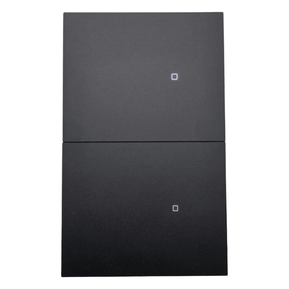 Apagador inalámbrico ZigBee 110-220V 2 GANG
