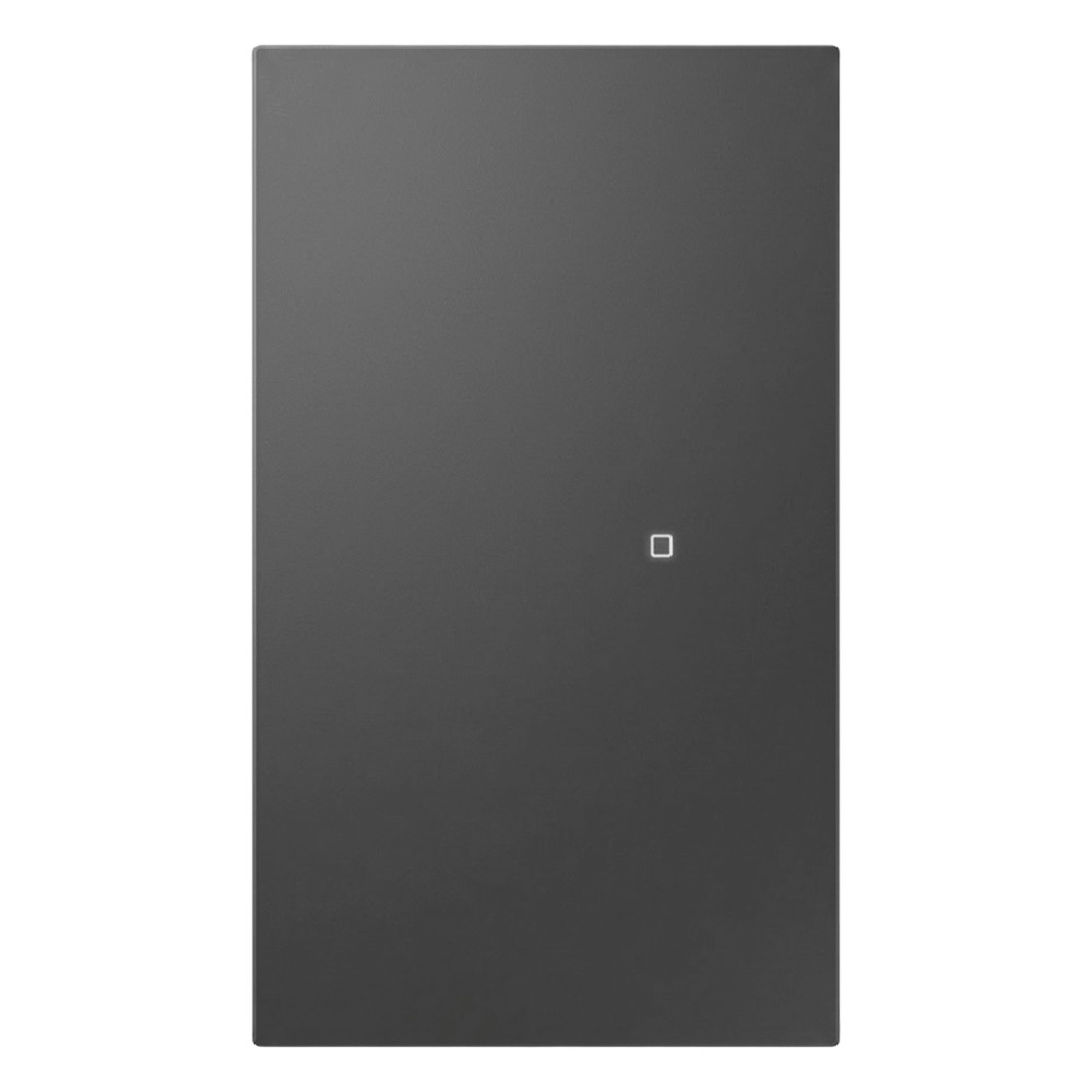 Apagador inalámbrico ZigBee 110-220V 1 GANG