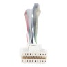Arnés  principal para Doorbell Serie DS-KV6113WPE1(C) / Compatible con